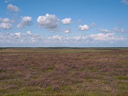 Kongenshus-Mindepark-IMGP8349